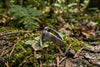 A handmade silver ring in the shape of a bird with detailed feather engraving, placed on textured moss and tree bark.